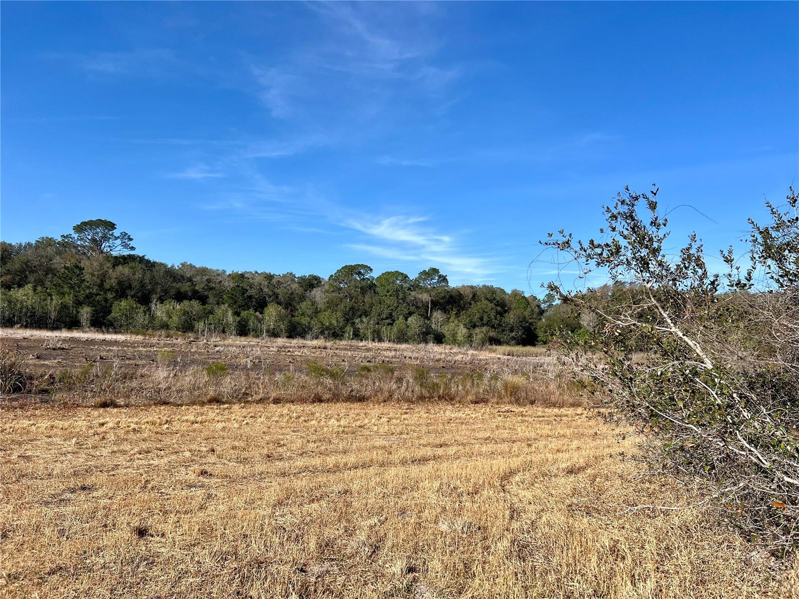 FOREST  02 RD, UMATILLA, FL — photo 11