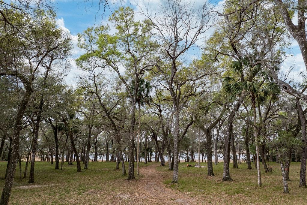 FOREST  02 RD, UMATILLA, FL — photo 13
