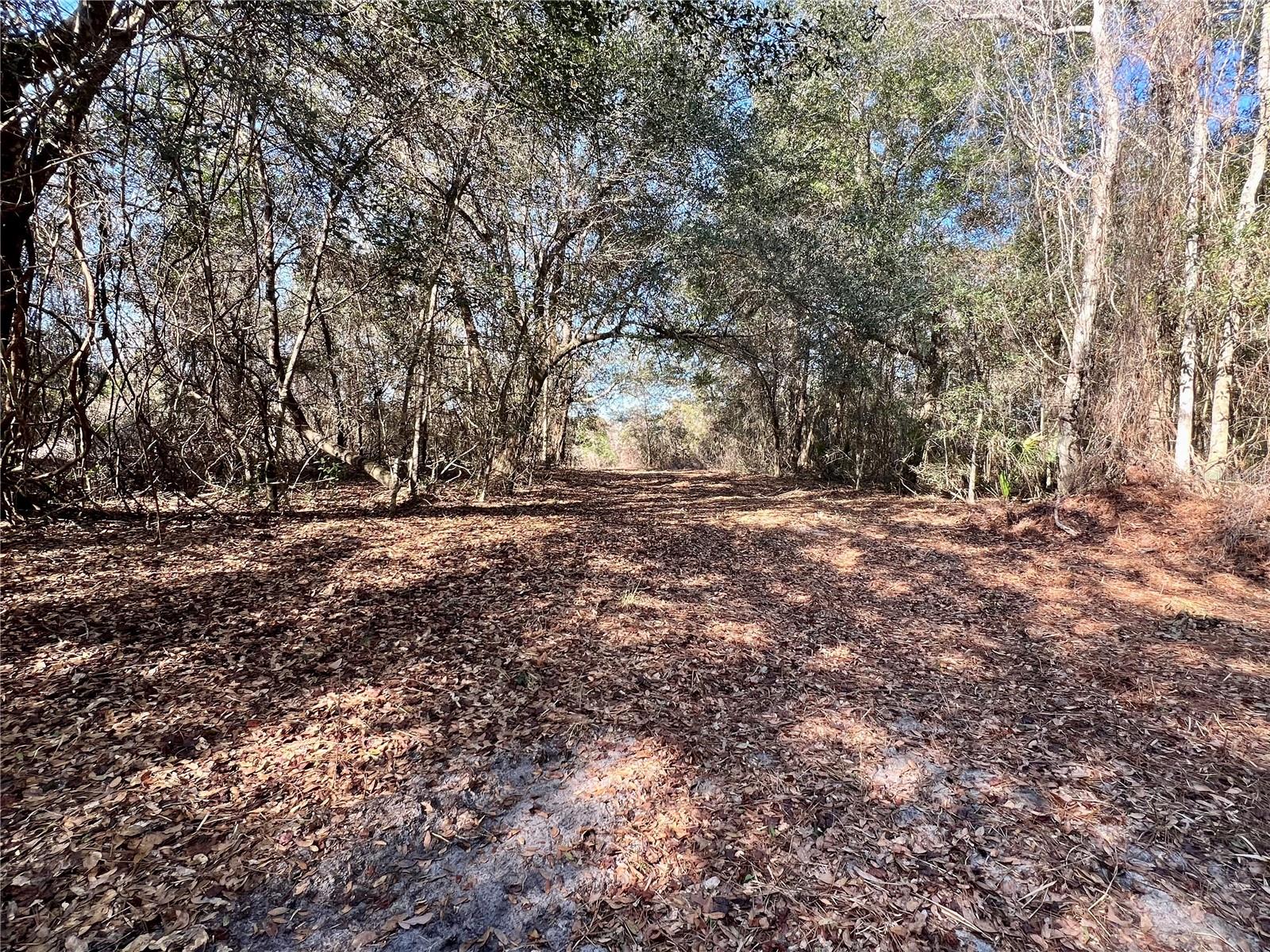 FOREST  02 RD, UMATILLA, FL — photo 15