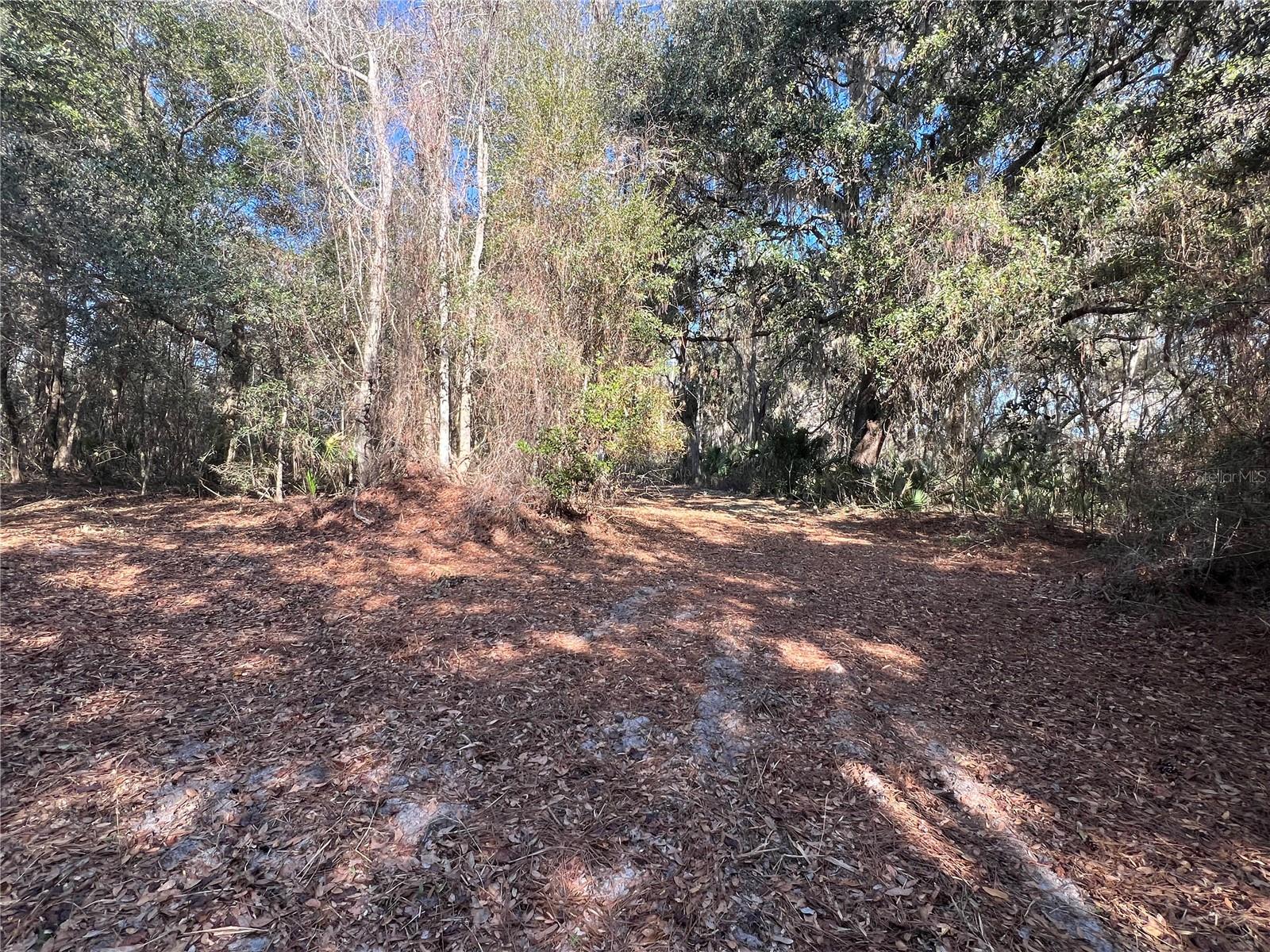 FOREST  02 RD, UMATILLA, FL — photo 16