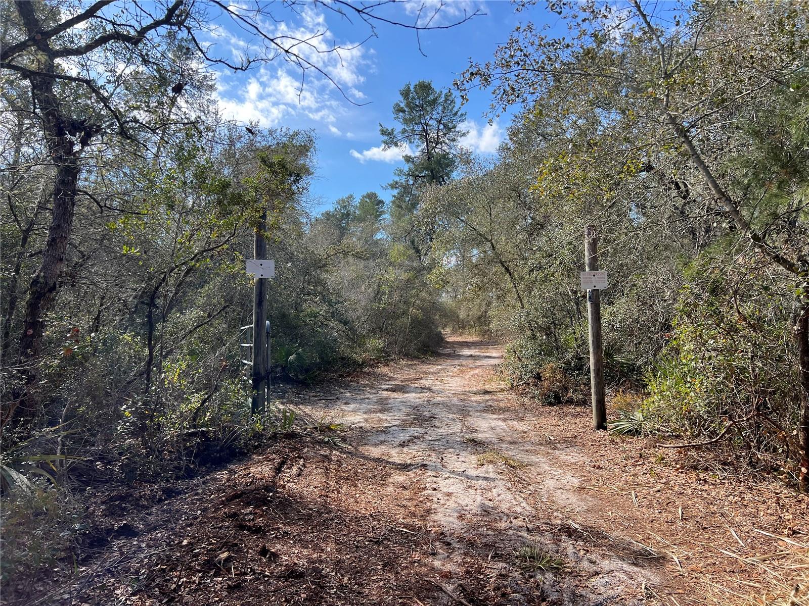 FOREST  02 RD, UMATILLA, FL — photo 17