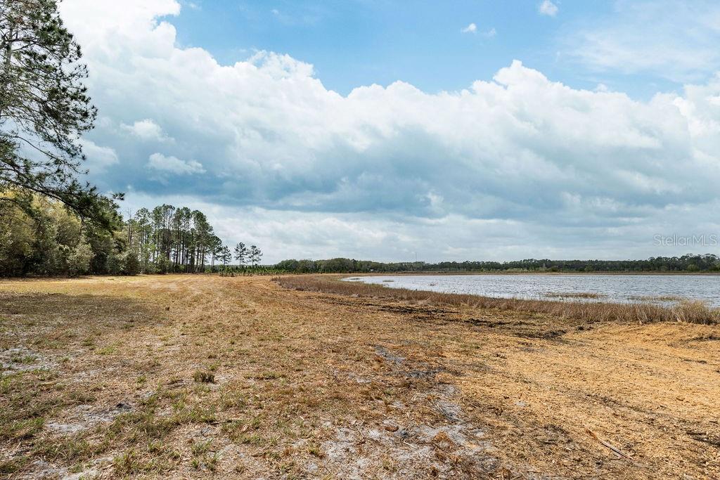 FOREST  02 RD, UMATILLA, FL — photo 19