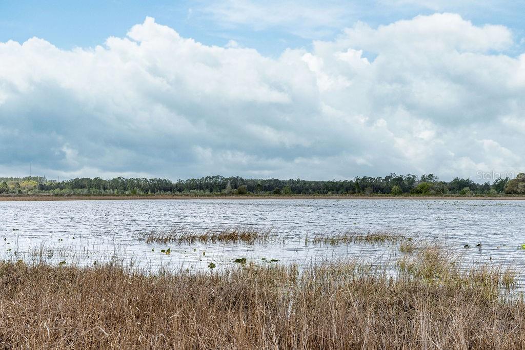 FOREST  02 RD, UMATILLA, FL — photo 20