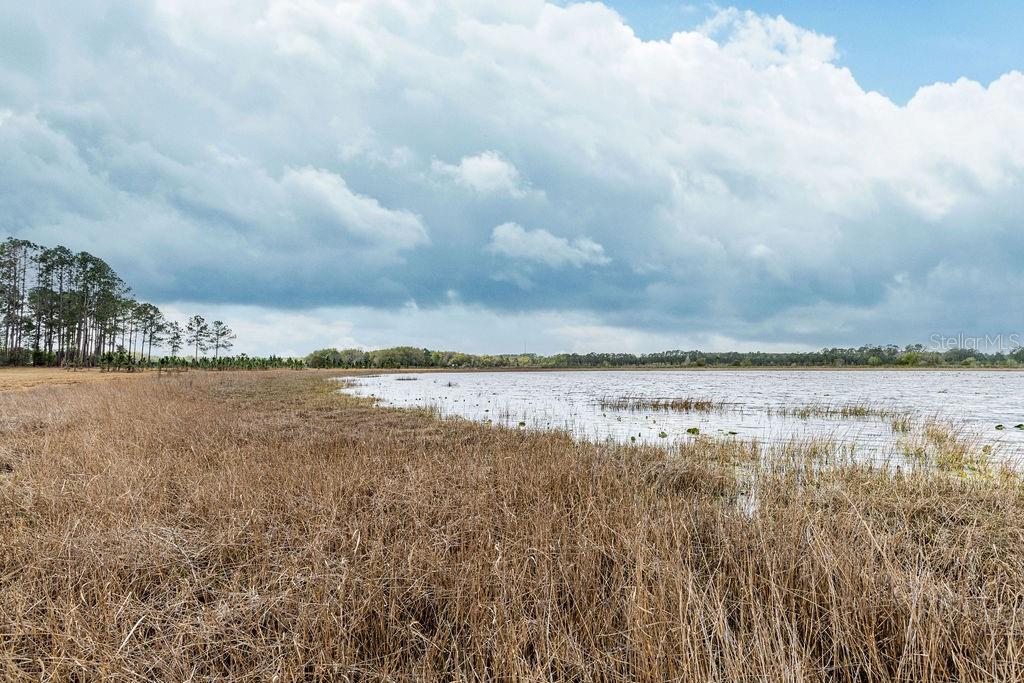 FOREST  02 RD, UMATILLA, FL — photo 21