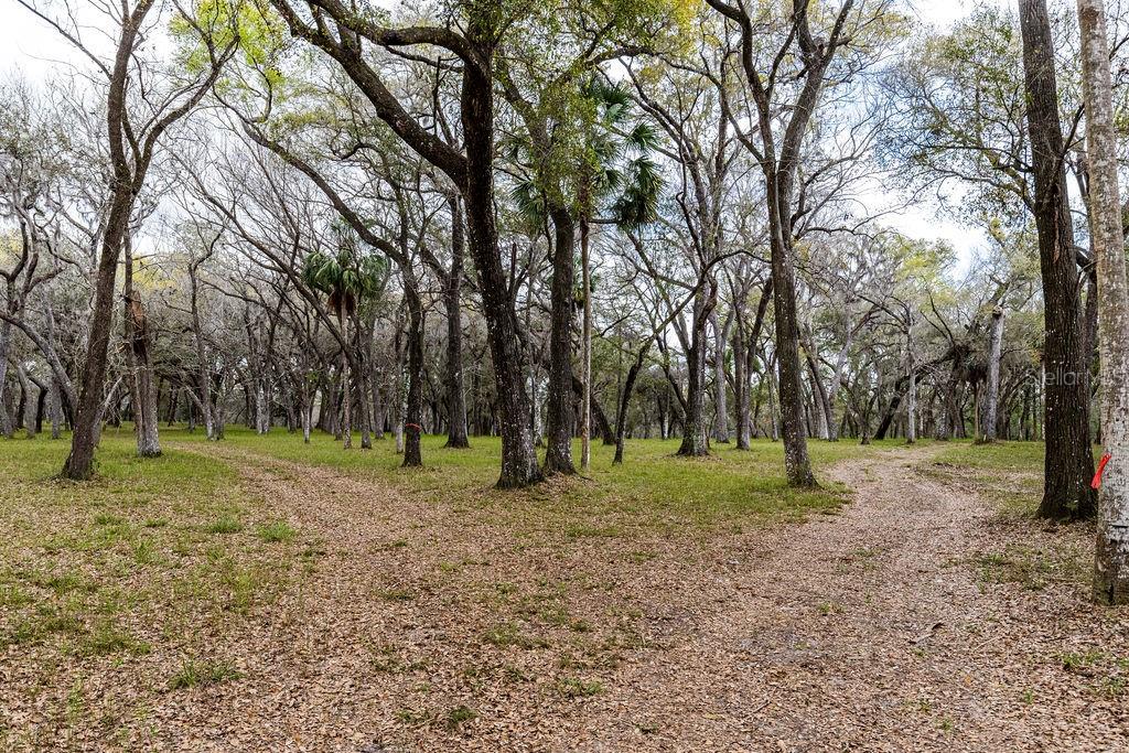 FOREST  02 RD, UMATILLA, FL — photo 25