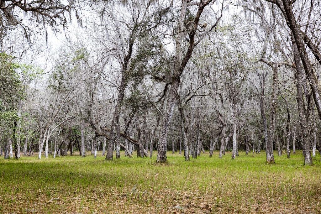 FOREST  02 RD, UMATILLA, FL — photo 26