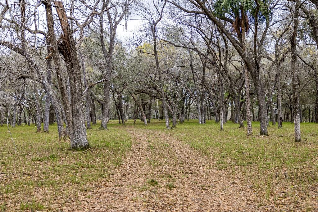 FOREST  02 RD, UMATILLA, FL — photo 27