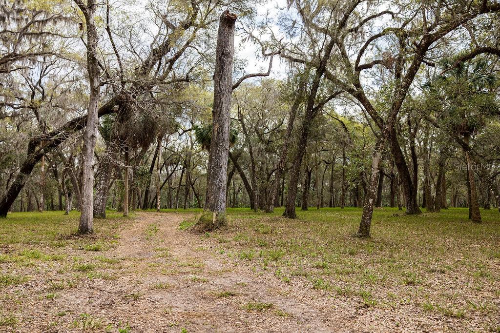 FOREST  02 RD, UMATILLA, FL — photo 28