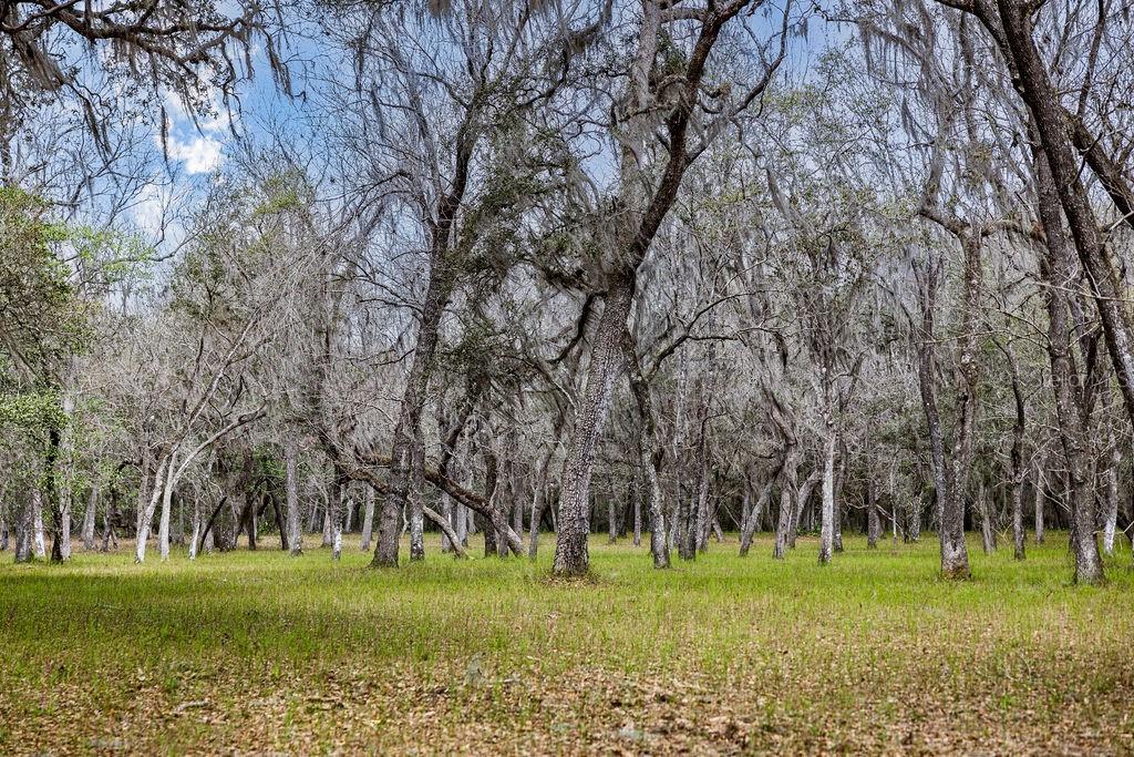 FOREST  02 RD, UMATILLA, FL — photo 30