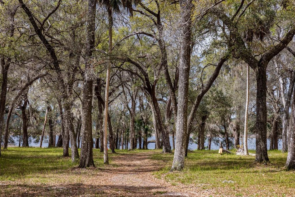 FOREST  02 RD, UMATILLA, FL — photo 32