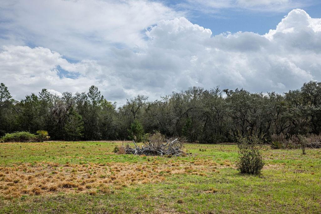 FOREST  02 RD, UMATILLA, FL — photo 35