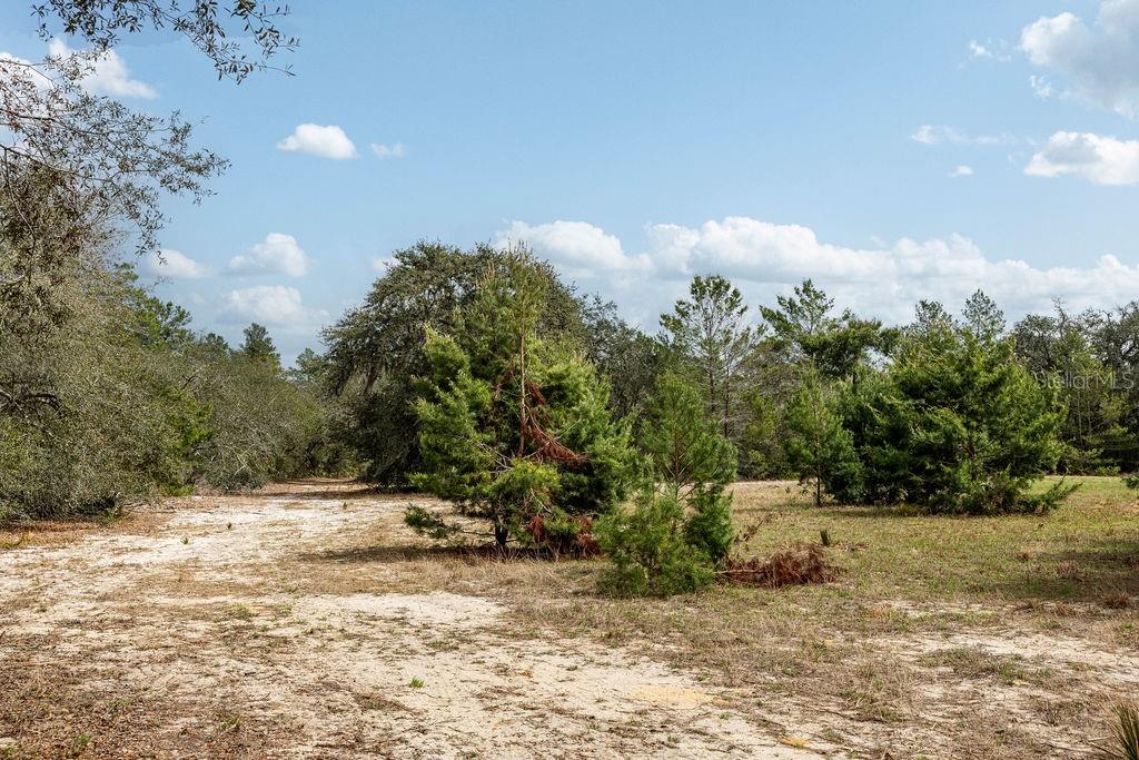 FOREST  02 RD, UMATILLA, FL — photo 37