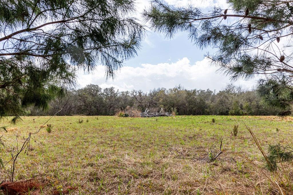 FOREST  02 RD, UMATILLA, FL — photo 39