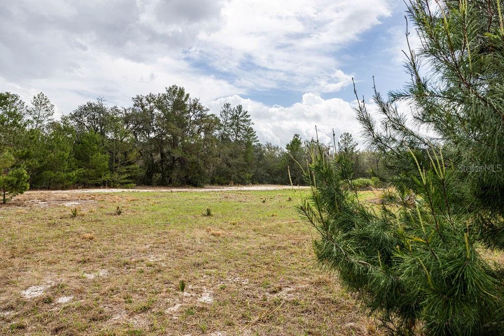 FOREST  02 RD, UMATILLA, FL — photo 40