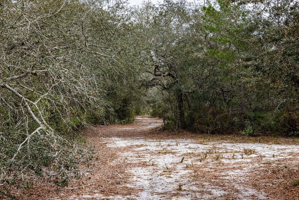 FOREST  02 RD, UMATILLA, FL — photo 41