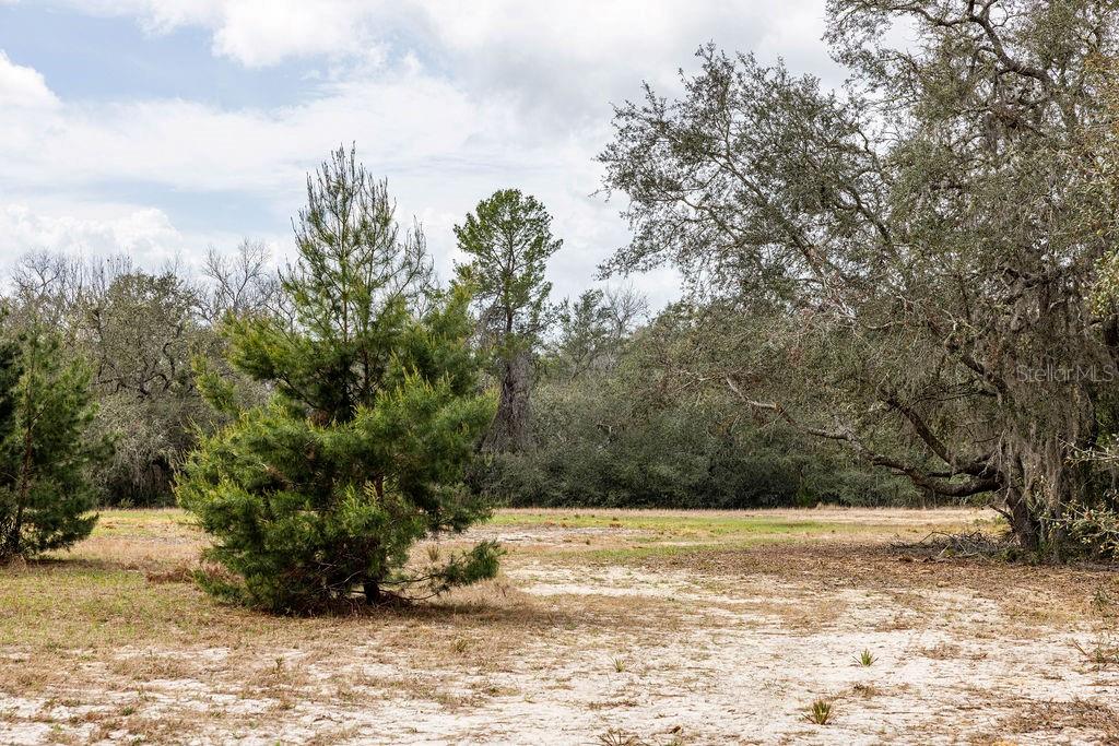 FOREST  02 RD, UMATILLA, FL — photo 42
