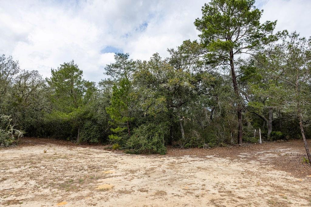 FOREST  02 RD, UMATILLA, FL — photo 43