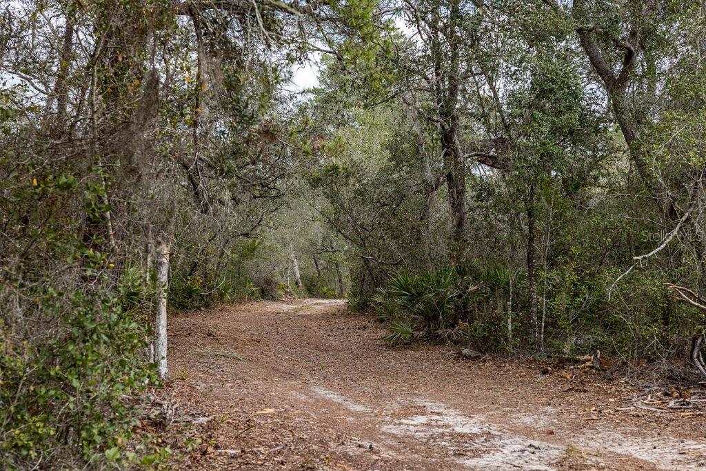 FOREST  02 RD, UMATILLA, FL — photo 44