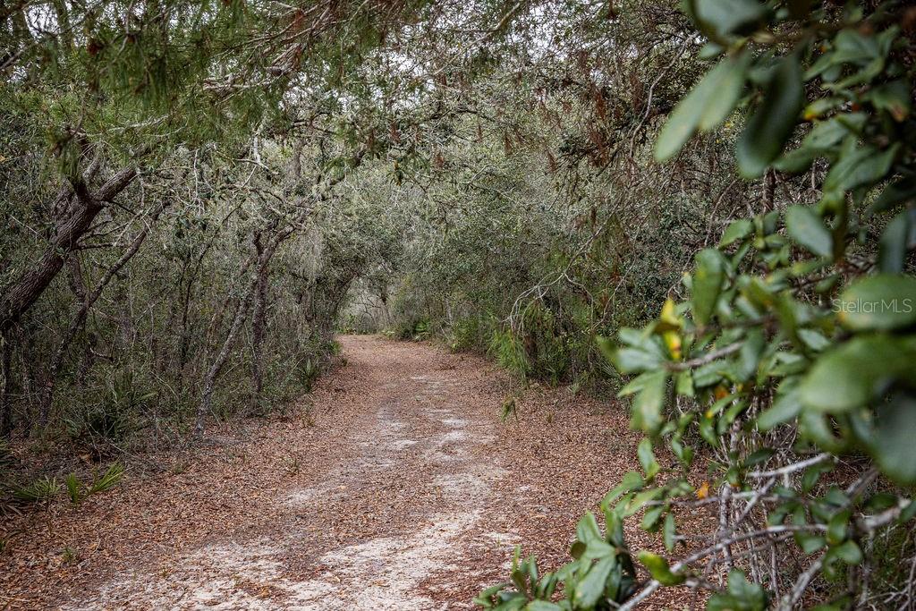 FOREST  02 RD, UMATILLA, FL — photo 45