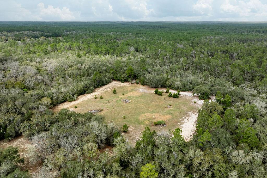 FOREST  02 RD, UMATILLA, FL — photo 46