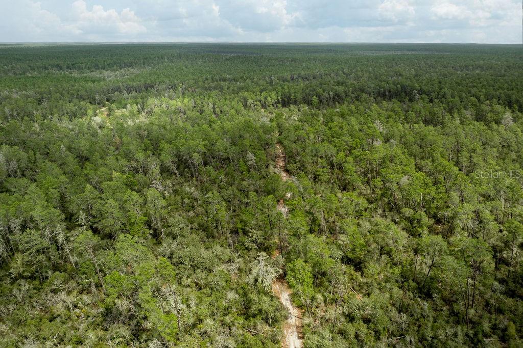 FOREST  02 RD, UMATILLA, FL — photo 48