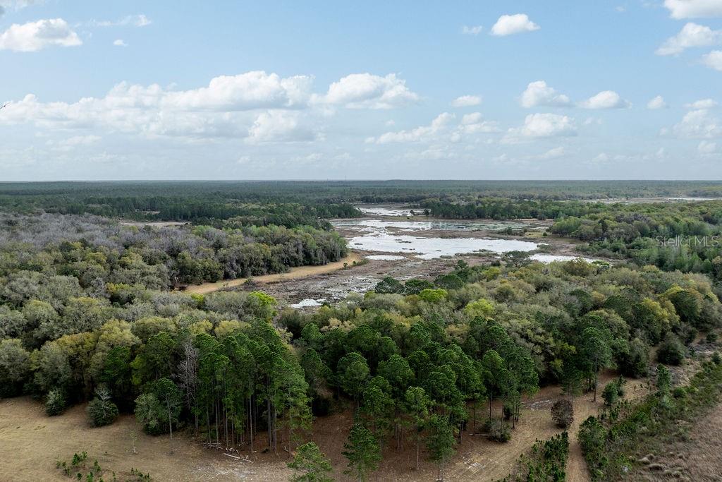 FOREST  02 RD, UMATILLA, FL — photo 54