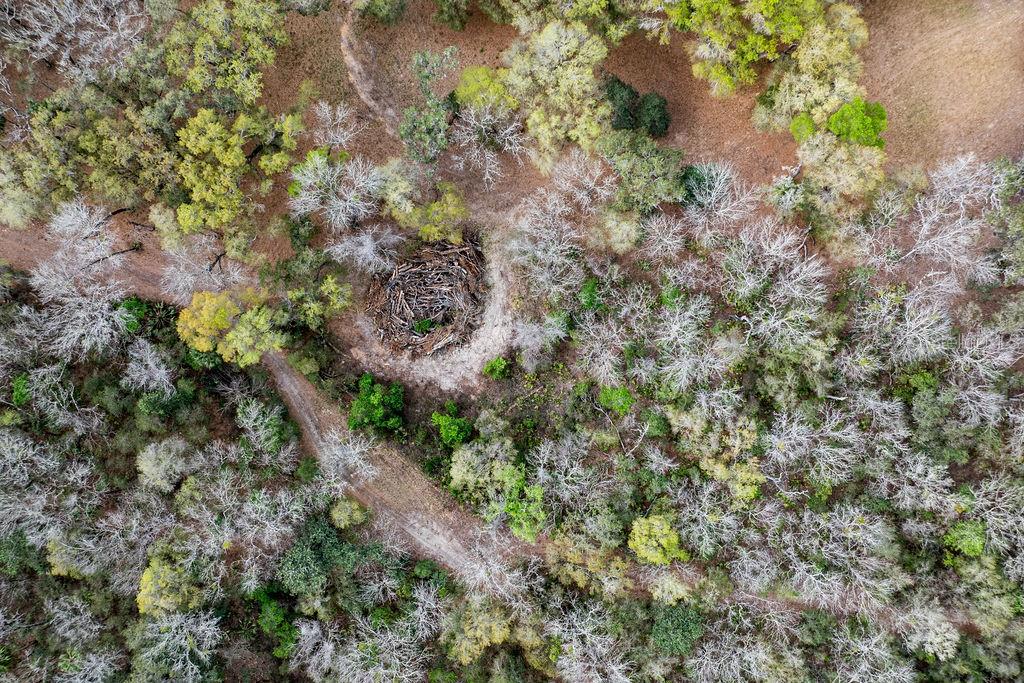 FOREST  02 RD, UMATILLA, FL — photo 55