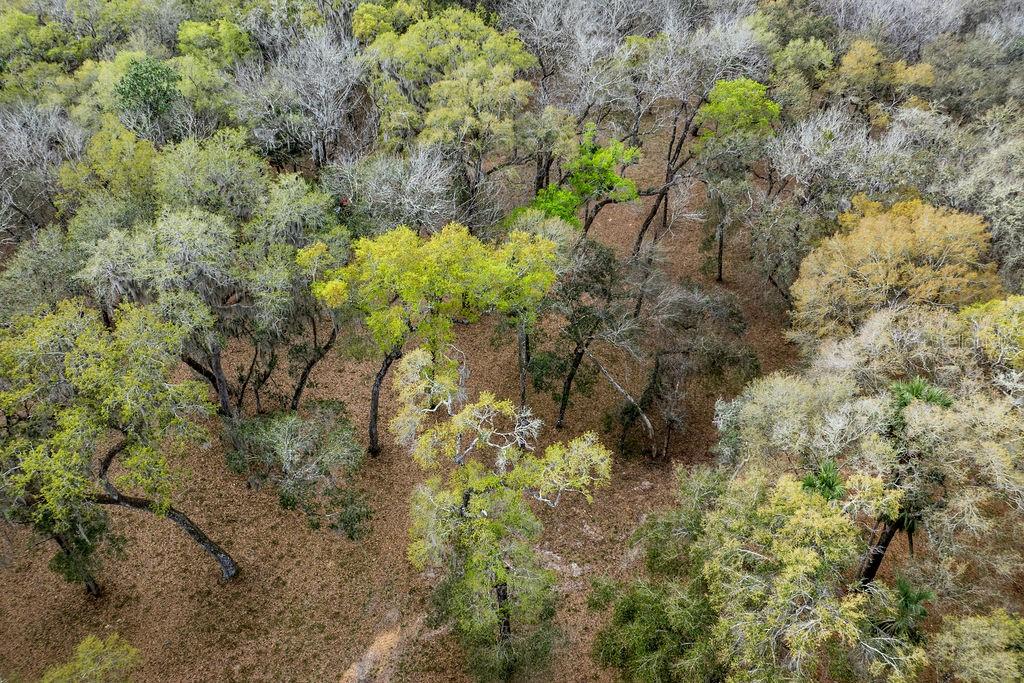 FOREST  02 RD, UMATILLA, FL — photo 56