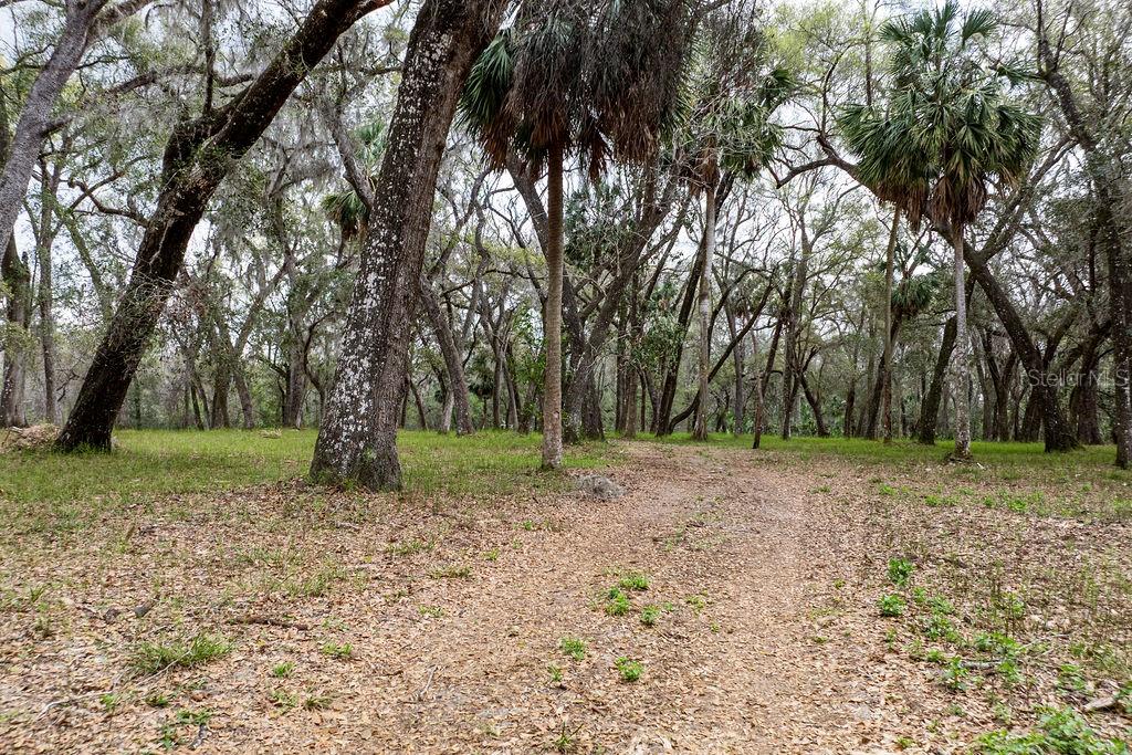 FOREST  02 RD, UMATILLA, FL — photo 57
