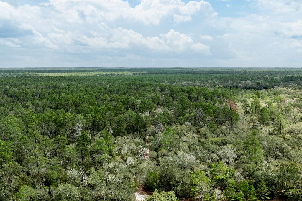 FOREST  02 RD, UMATILLA, FL — photo 58