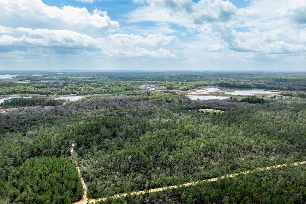 FOREST  02 RD, UMATILLA, FL — photo 62