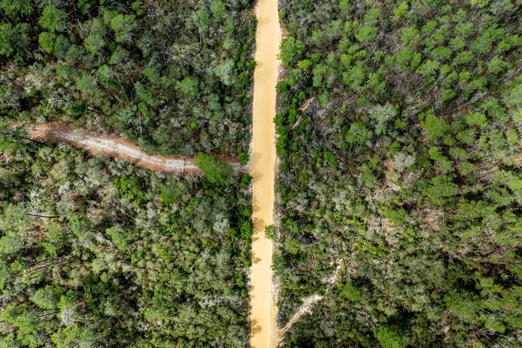 FOREST  02 RD, UMATILLA, FL — photo 64