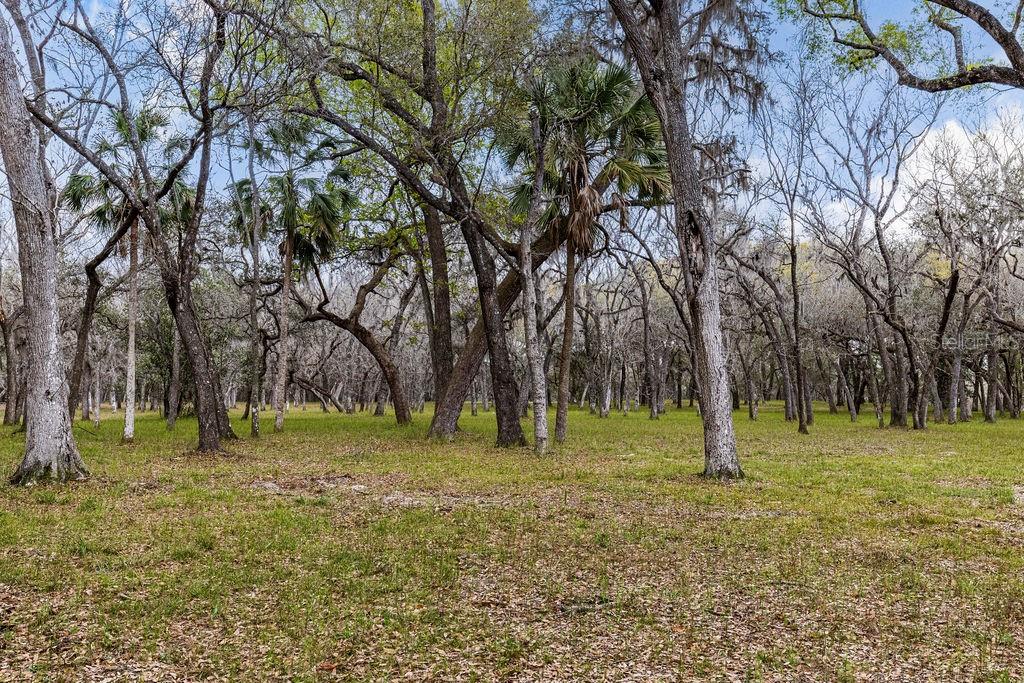 FOREST  02 RD, UMATILLA, FL — photo 68