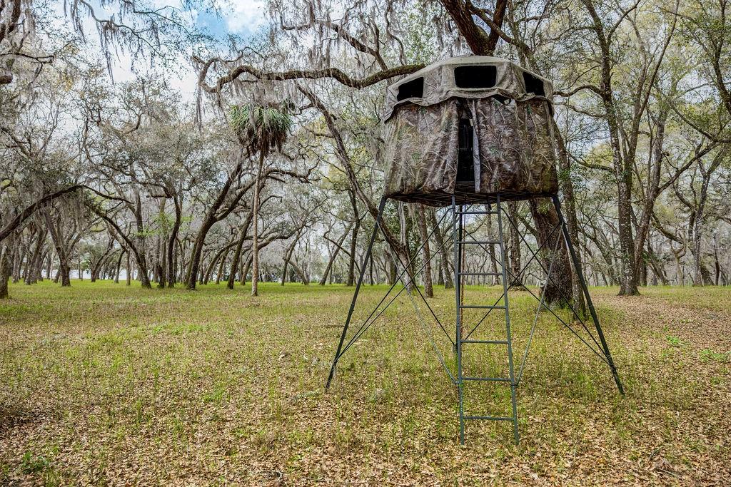 FOREST  02 RD, UMATILLA, FL — photo 69