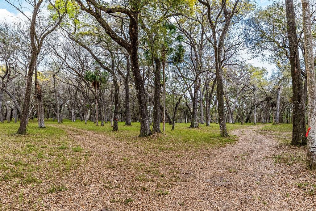FOREST  02 RD, UMATILLA, FL — photo 70