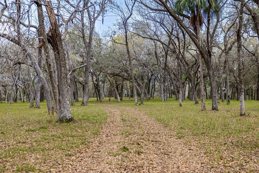 FOREST  02 RD, UMATILLA, FL — photo 71