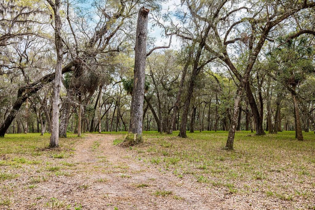FOREST  02 RD, UMATILLA, FL — photo 72