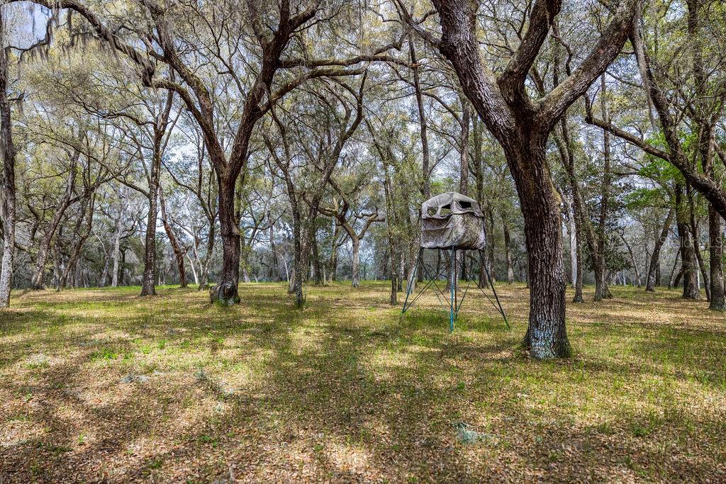 FOREST  02 RD, UMATILLA, FL — photo 73