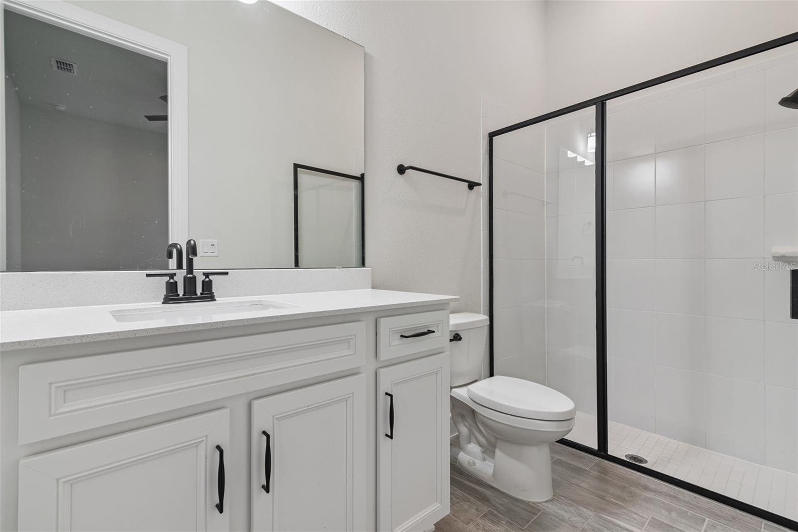 2502 ALLIGATOR FLAG CT, CLERMONT, FL — photo 45