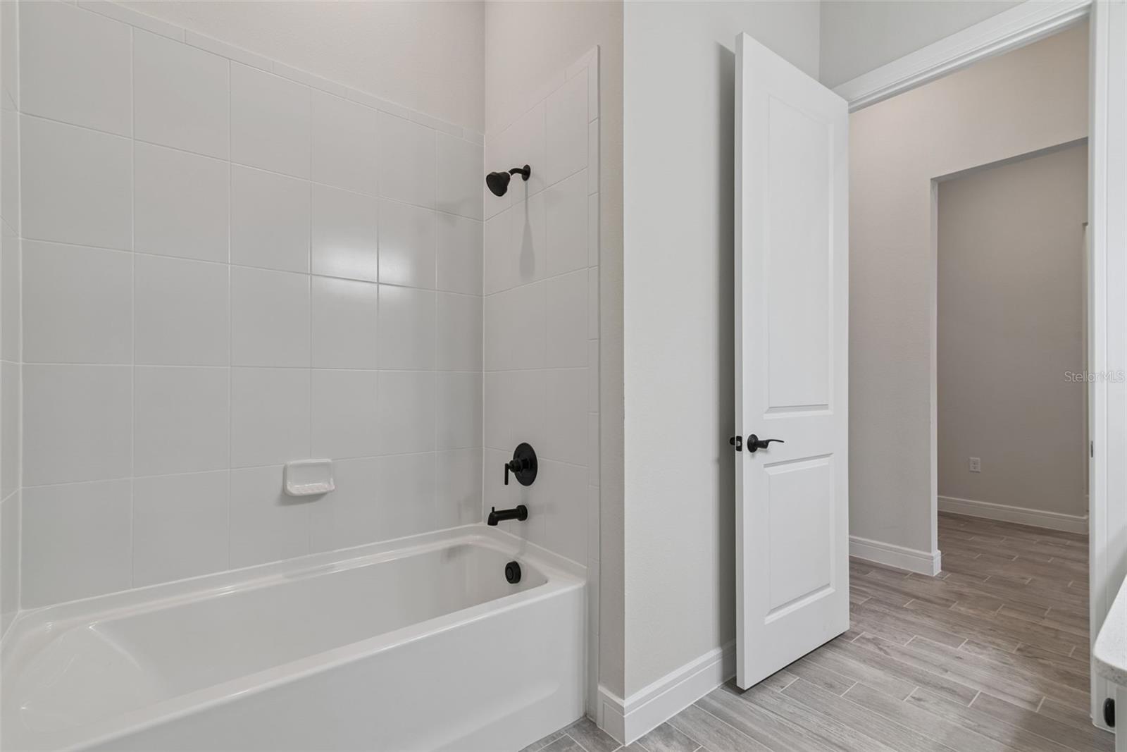 2502 ALLIGATOR FLAG CT, CLERMONT, FL — photo 53