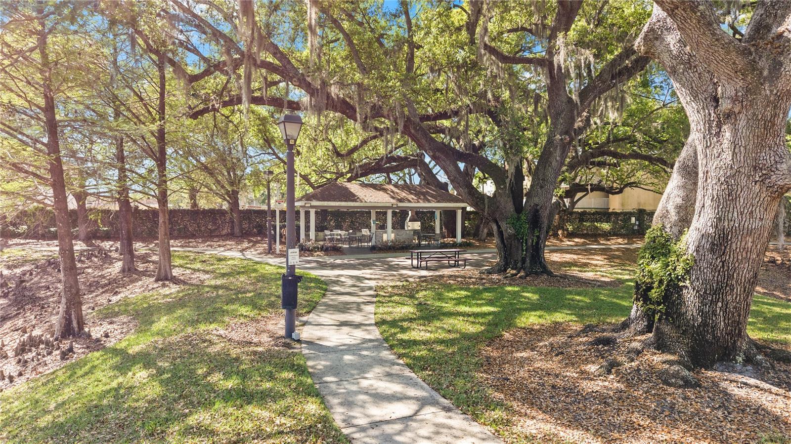 5350 DIPLOMAT CT #104, KISSIMMEE, FL — photo 50