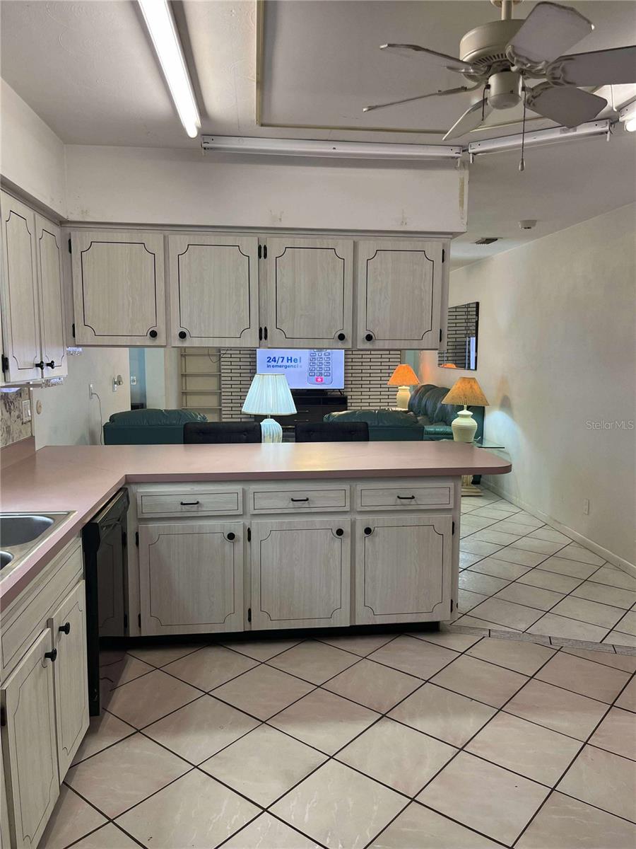608 KNOWLES RD, BRANDON, FL — photo 9