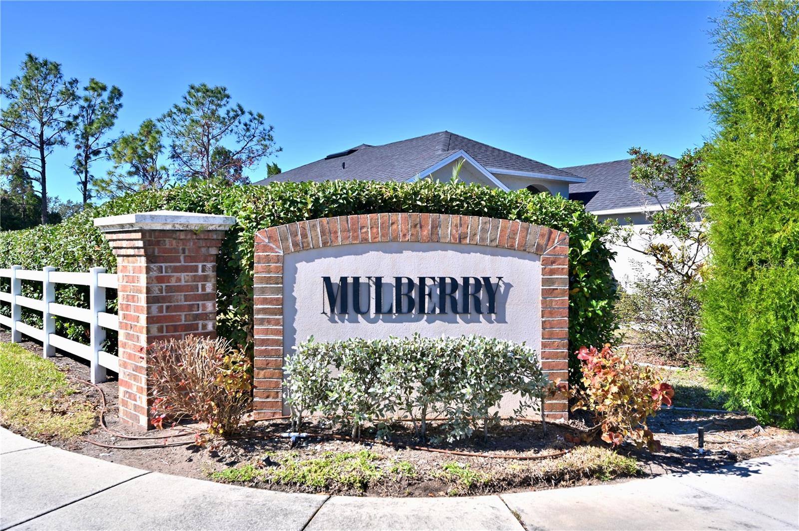 10922 SUBTLE TRAIL DR, RIVERVIEW, FL — photo 9
