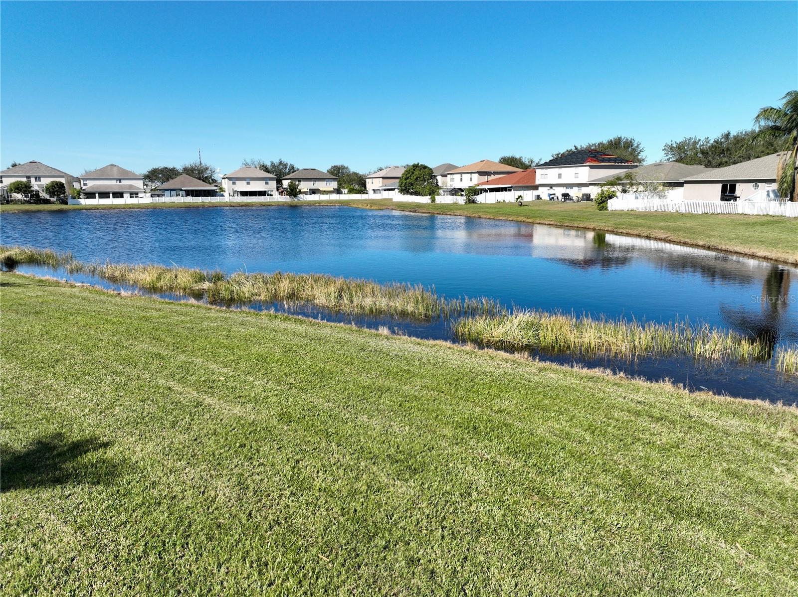 10922 SUBTLE TRAIL DR, RIVERVIEW, FL — photo 59