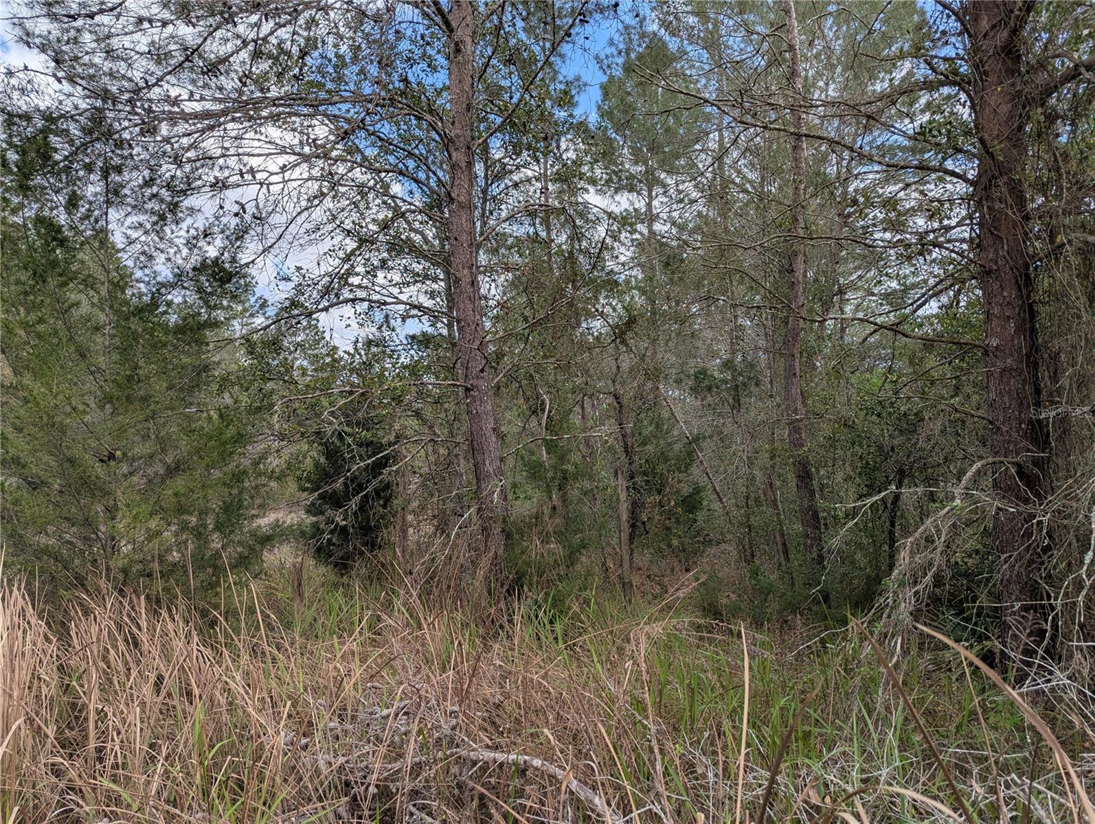 0 GANNET AVE, WEEKI WACHEE, FL — photo 6