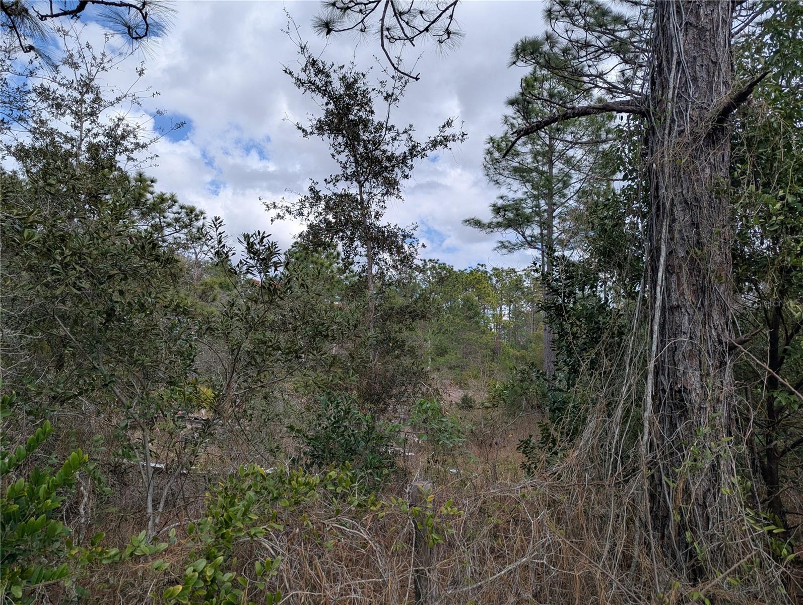 0 GANNET AVE, WEEKI WACHEE, FL — photo 10