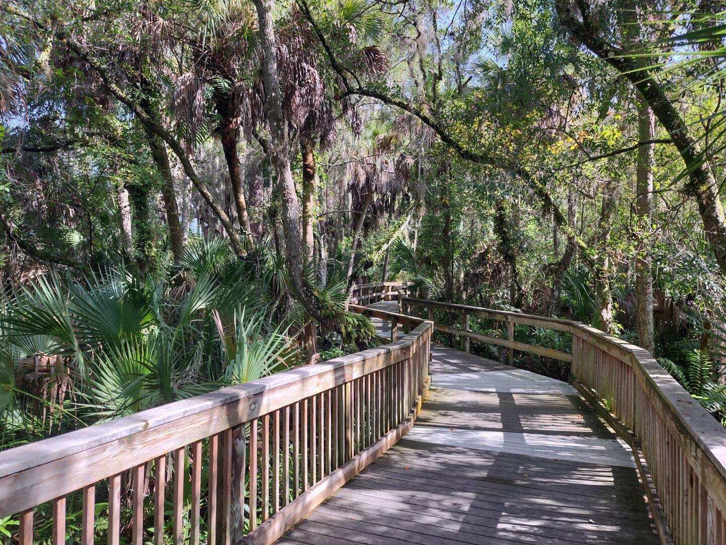 209 MESTRE PL, NORTH VENICE, FL — photo 42