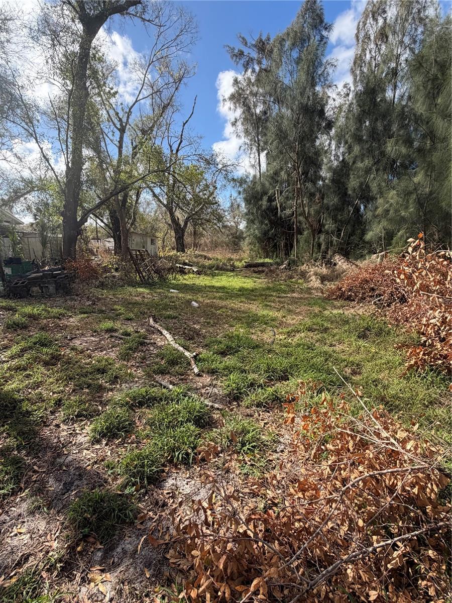 1211 NW EUCALYPTUS AVE, ARCADIA, FL — photo 11