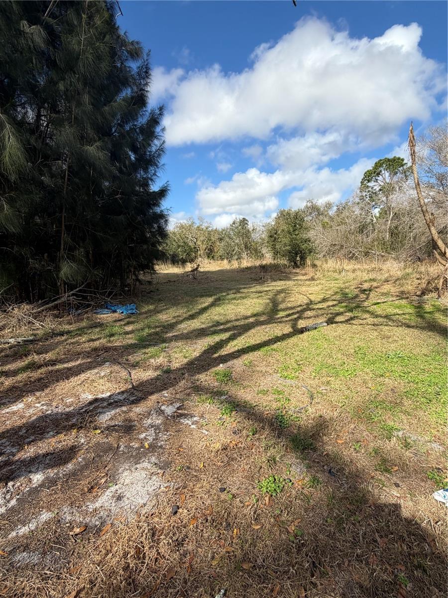 1211 NW EUCALYPTUS AVE, ARCADIA, FL — photo 12