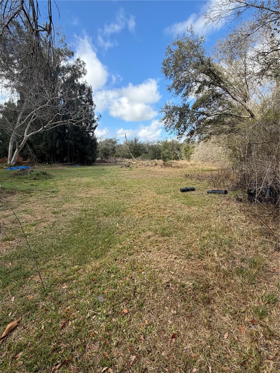 1211 NW EUCALYPTUS AVE, ARCADIA, FL — photo 14